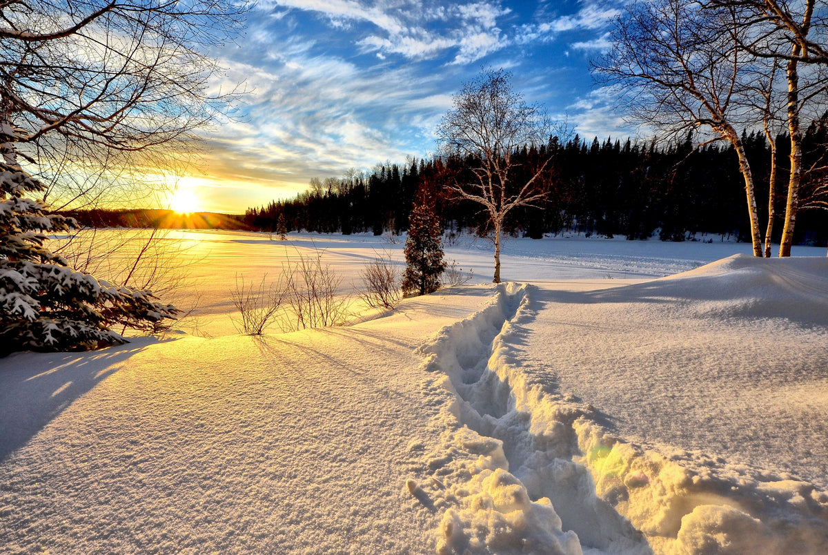 How Graphene Heated Apparel Improves Outdoor Performance & Winter Work Efficiency | Wulcea Heated Jackets